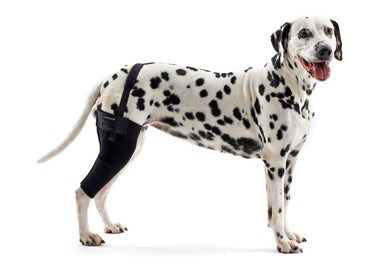 KRUUSE Rehab knee protector X-Large Right